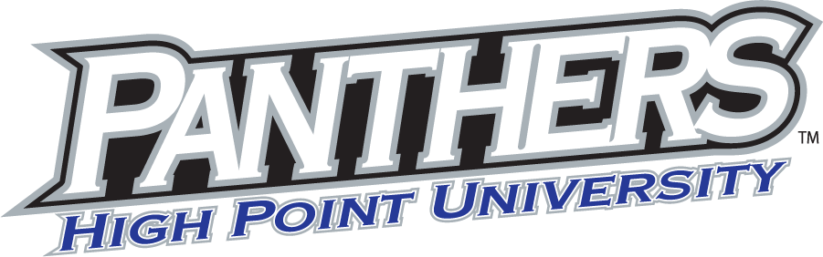 High Point Panthers 2004-2012 Wordmark Logo v3 diy iron on heat transfer